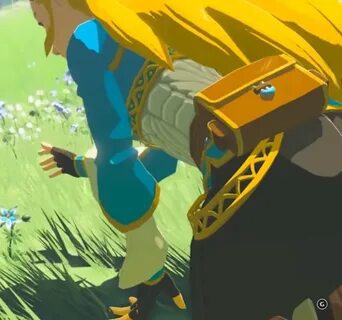 Zelda botw booty Prickly Day Out