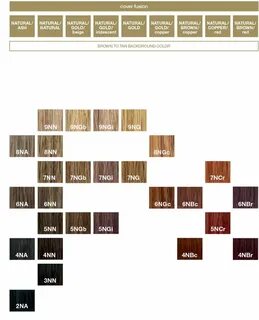 loreal colourist colourfusion colour chart Hair color swatch