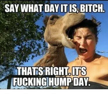 SAY WHAT DAY ITIS BITCH THATS RIGHT ITS FUCKING HUMP DAY Bit