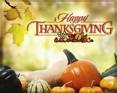 👌 500+ Free Happy Thanksgiving Images 2019 Thanksgiving Day 