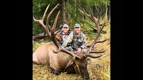 World Record Bull Elk - YouTube