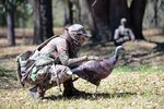 Hunting Season Opens for Florida Osceola Turkey - Game & Fis