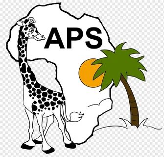 Travel Paradise, Safari, Company, Travel Agent, Hotel, Destination Management, T