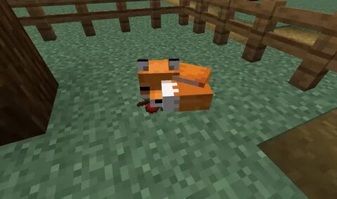 How To Tame Foxes In Minecraft manasocietyvenezuela