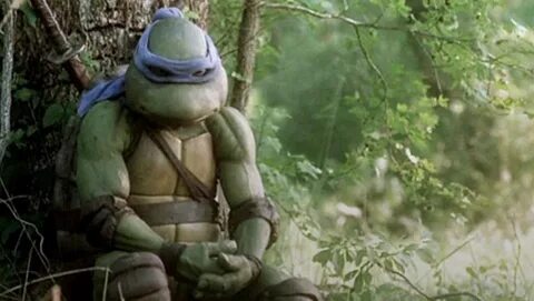 Mutant Ninja Turtles now experiencing mid-life crisis The Ch