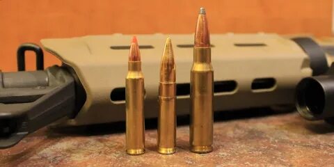 223/5.56 vs 300 Blackout vs 308 Winchester: Which Is Best? -
