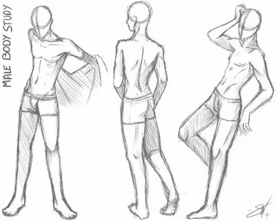 Male body study - Take two by SoraCooper on deviantART Drawi