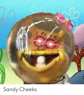 Sandy Cheeks Funny Meme on ME.ME