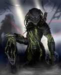 Predator Artwork - Alien vs. Predator Galaxy