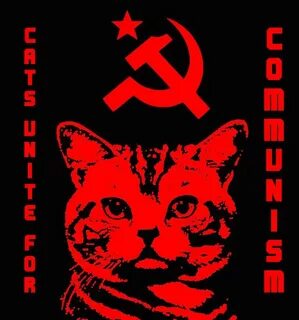 Upvote Communist Cat and we will share the glorious bounty -