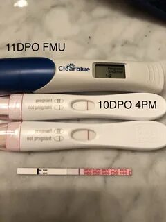 faint line on easy home pregnancy test - Captions Prince