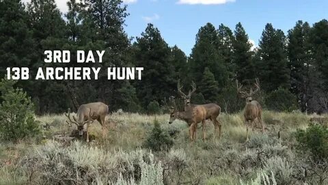 2018 Arizona Strip Archery Mule Deer Hunt Day 3! ( The Guide