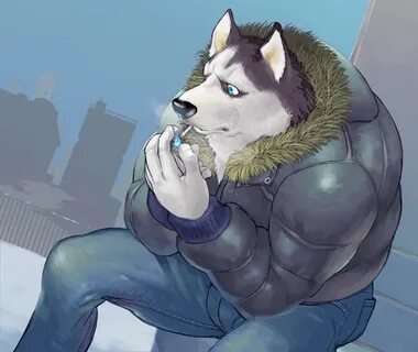 Siberian Husky under wintry sky by kira_nerisu -- Fur Affini