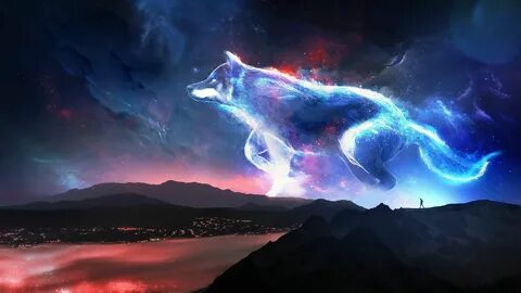 Fantasy Wolf Fantasy Animals Landscape Night Spirit Wallpape