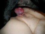 Animal Porn and Beastiality Image Board - Post 13465: beastf