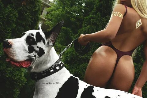 Wallpaper : animals, blonde, ass, one piece swimsuit, Great 