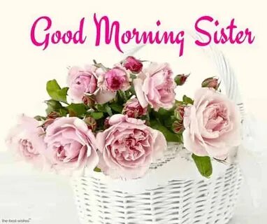 120+ Lovely Good Morning Wishes for Sister HD Images and Gre