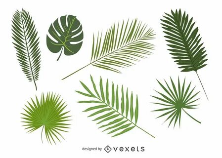 Palm tree leaves Graphics to Download