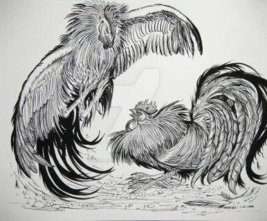roosters_fighting_large_by_houseofchabrier-d21au4b.jpg (800 