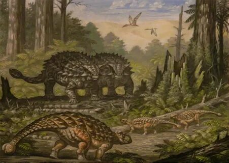 Saichania, Pinacosaurus, children Pinacosaurus Prehistoric w