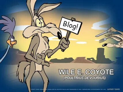 Blogging: 5 cose che ho imparato da Wile E. Coyote Cartoon s