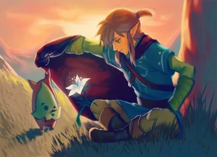 Hero in Training : Photo Legend of zelda memes, Legend of ze