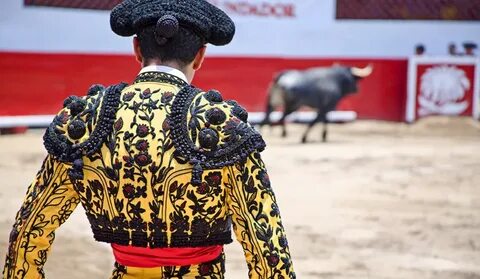 Watch! The Eye-Opening World of Spanish Bullfighting by Soci