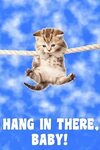 Amazon.com: poster hang in there