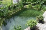 Small Swimming Pools Are Now a Thing and Here's Why Natural 