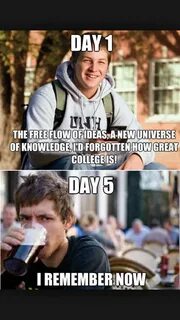 Grad school Freshman college, School memes, Grad school prob