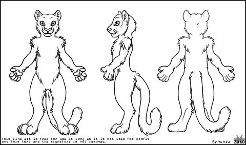 Free Ref Sheet Furry - Draw-site