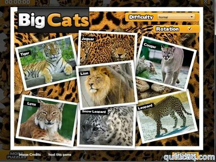 Big Cats Puzzle Yüklə - Proqramlar, Oyunlar, Pulsuz Yüklə!