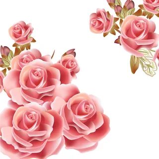 Flower Rose Pink Clip Art - Flower Rose Pink Clip Art - (427