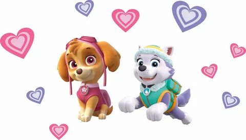 Paw Patrol Characters Names / Paw Patrol Dogs in Real Life! 