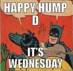Happy Hump Day Memes Are Invading the Internet Hashtag Hyena