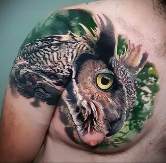 пример рисунка тату сова реализм 15.02.2021 № 0101 - owl tat