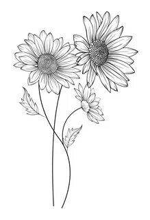 Daisy Flower Outline Daisy LIne Art Line Drawing chamomile o