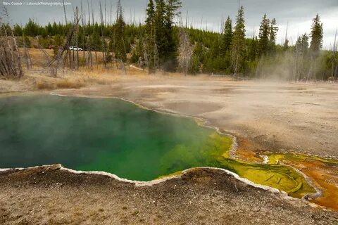 Yellowstone & Grand Tetons 2011: Yellowstone National Park p