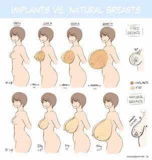 d/iagrams - size/type comparisons.