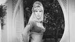Barbara Eden in Bikini - Body, Height, Weight, Nationality, 