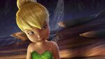 She is just so adorable... Tinkerbell disney, Tinkerbell and
