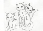 Warrior Cat Drawing Ideas at GetDrawings Free download