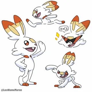 lastnamemoron: Scorbunny Sketches! (3/3 Galar Sketches)#WoOF