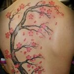 Apple blossom tattoo Cherry blossom tree tattoo, Cherry tree
