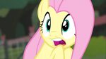 Scared My Little Pony: Friendship is Magic Know Your Meme