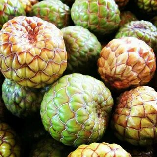 Komunitas @iloveaceh on Twitter: "This fruits that looks lik
