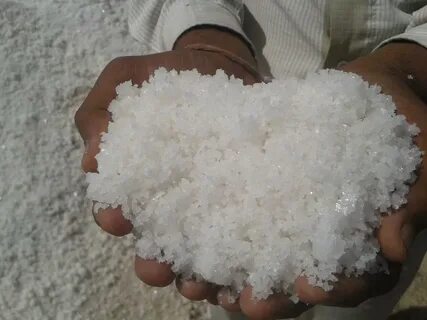 Solar Sea Salt by Shreeji Magnesia Works from Ahmedabad Guja