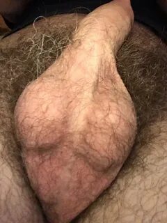 Hairy balls - 4 Pics xHamster