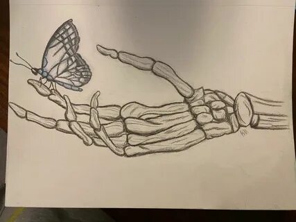 Skeleton hand with butterfly in 2021 Butterfly sketch, Skele