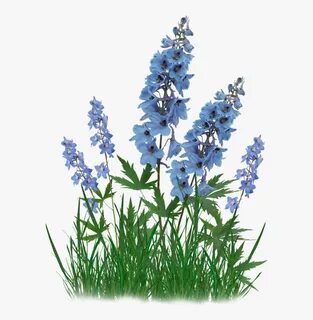 Bluebonnet Clip Art Portable Network Graphics French - Blueb